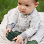 Load image into Gallery viewer, Silly Seagulls Sleep & Play