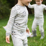 Load image into Gallery viewer, Silly Seagulls Toddler PJ Set