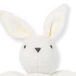 Load image into Gallery viewer, Bunny Plush Baby Rattle