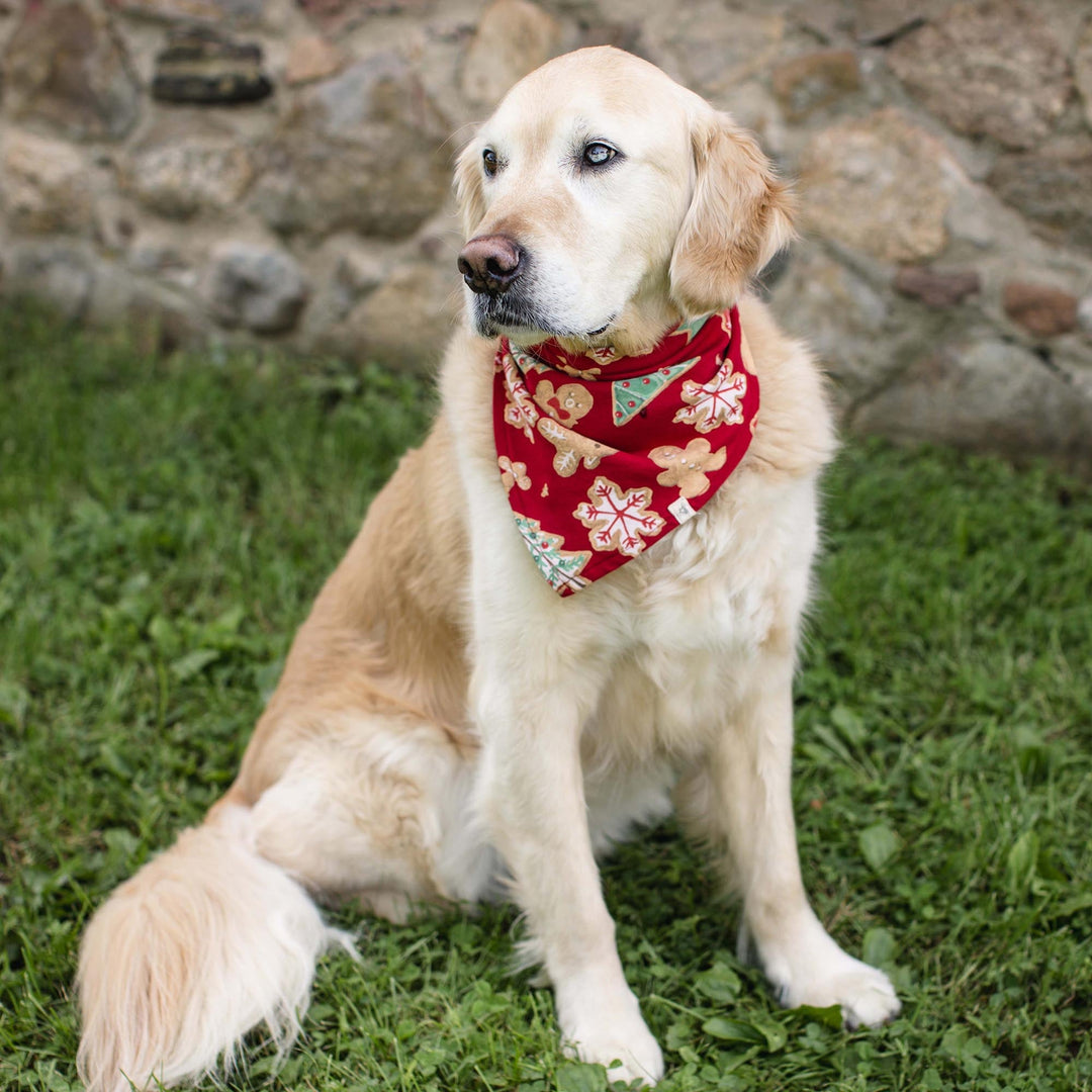 Product Image 6 of Gingerbread Bake Matching Family Pajamas
