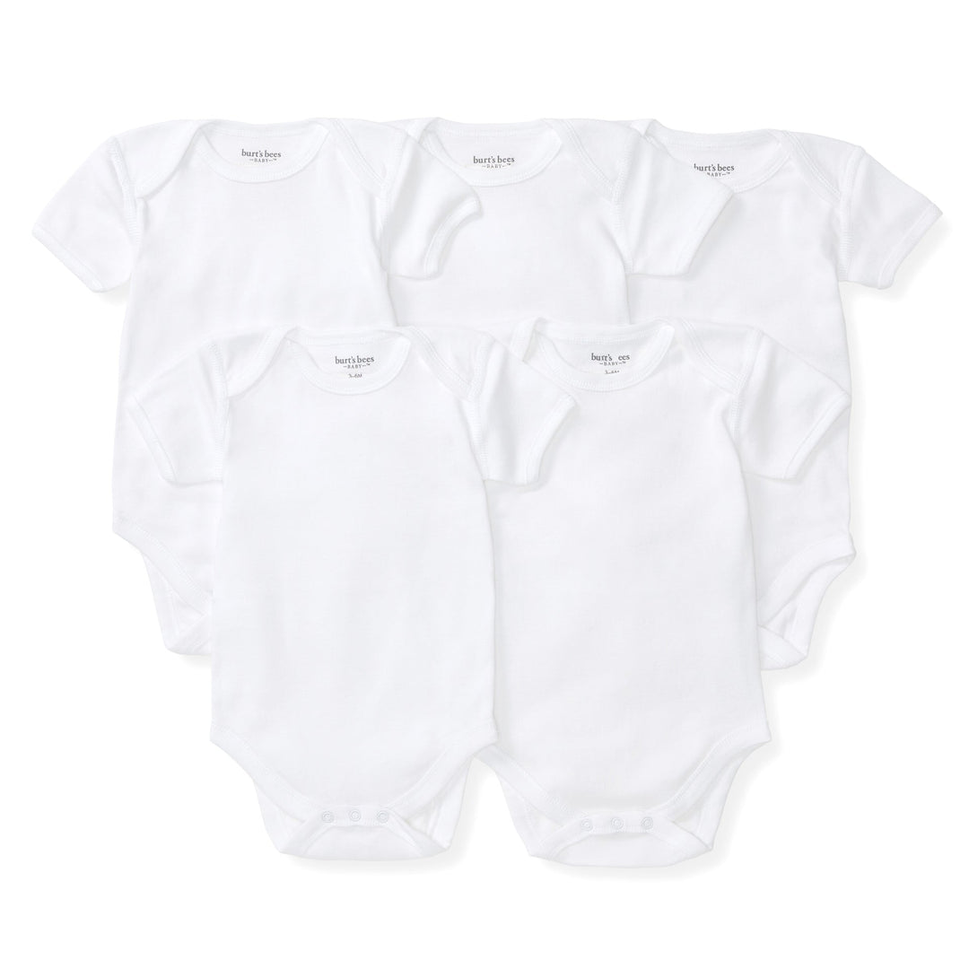 Bee Essentials Organic Short Sleeve Baby Bodysuit 5 Pack