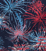 Load image into Gallery viewer, Celebrate America Bodysuit
