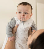 Load image into Gallery viewer, Golden Bee Organic Warmer Beekeeper™ Wearable Baby Blanket - Quarry