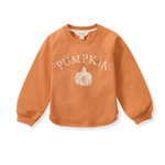 Load image into Gallery viewer, Pumpkin Organic Cotton Sweatshirt
