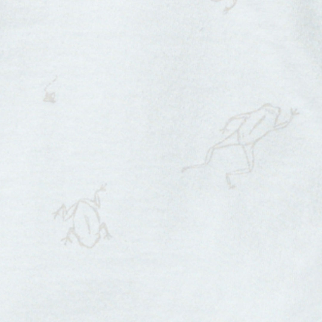 Frog Baby Boy 3-Piece Bodysuit & Pants Set