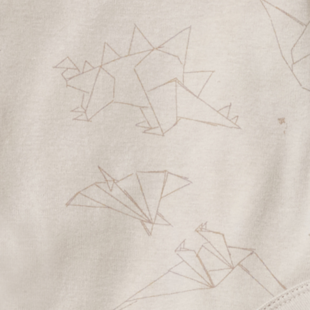 Origami Dinos Baby Boy Bodysuit & Jumpsuit Set