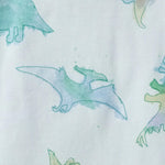 Load image into Gallery viewer, Watercolor Dinos Organic Baby Sleeper Romper - Rain
