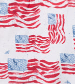 Load image into Gallery viewer, Majestic Flags Toddler Short Set
