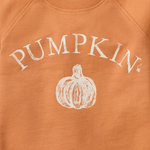 Load image into Gallery viewer, Pumpkin Organic Cotton Sweatshirt Swatch
