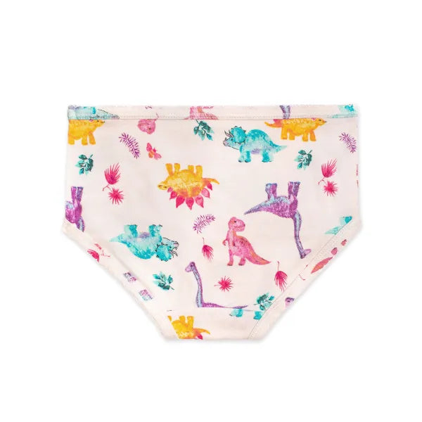Girls Set of 5 Dino Friends & Tie Dye Underwear