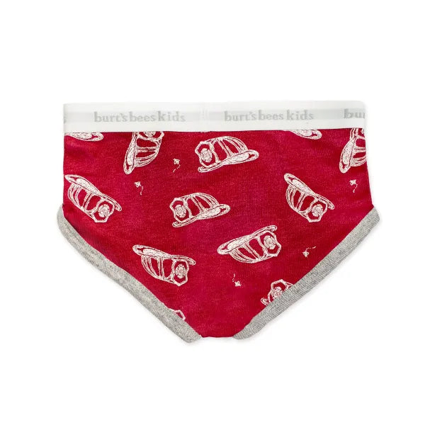 Boys Set of 5 Puppy Party & Fire Fighter Hats Underwear